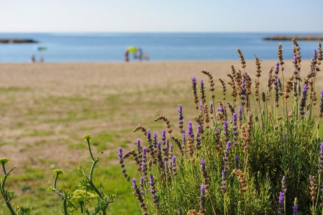 Casa Del Dorado Playa Cambrils 빌라 외부 사진